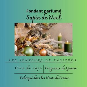 Étiquette du fondant parfumé 'Sapin de Noel' à la cire de soja. L'illustration est une photo d'un sapin de Noël décoré, évoquant un parfum boisé, frais et résineux.