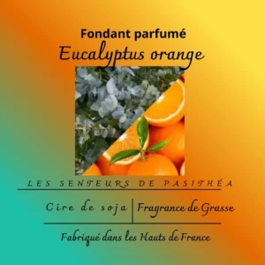 Étiquette du fondant parfumé 'Eucalyptus orange' à la cire de soja. L'illustration est un montage photo montrant des feuilles d'eucalyptus et des oranges coupées.