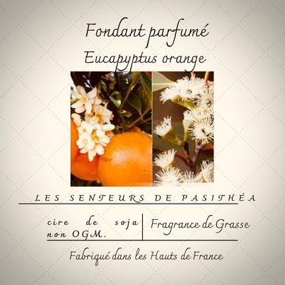 fondant eucalyptus et orange