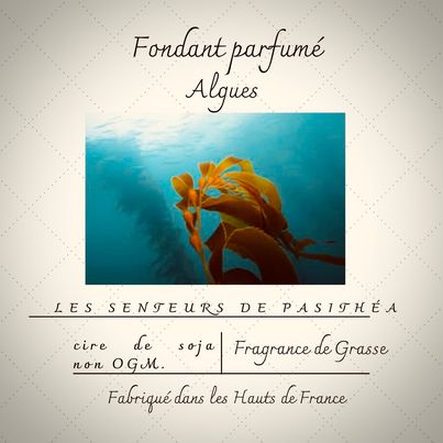 fondant algue