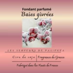 Étiquette du fondant parfumé 'Baies givrées' à la cire de soja. L'illustration est une photo de baies rouges couvertes de givre, évoquant un parfum fruité et frais d'hiver