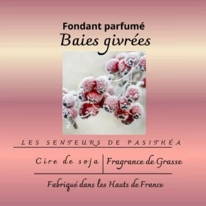 Étiquette du fondant parfumé 'Baies givrées' à la cire de soja. L'illustration est une photo de baies rouges couvertes de givre, évoquant un parfum fruité et frais d'hiver