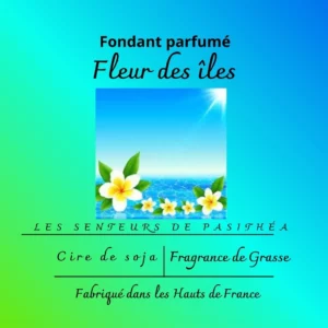 Étiquette du fondant parfumé 'Fleur des îles' à la cire de soja. L'illustration montre des fleurs de frangipanier devant une mer turquoise, évoquant un parfum exotique et solaire.
