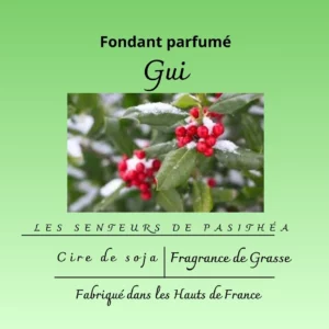 Étiquette du fondant parfumé 'Gui' à la cire de soja, senteur de Noël. L'illustration est une photo de houx enneigé avec ses baies rouges, évoquant une ambiance festive.