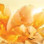 Étiquette du fondant parfumé 'j'adore' à la cire de soja, inspiré du célèbre parfum de Dior. L'illustration montre des fleurs dorées, évoquant un grand bouquet floral, fruité et lumineux.