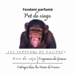 Étiquette du fondant parfumé humoristique 'Pet de singe' à la cire de soja. L'illustration est une photo d'un singe chimpanzé qui tire la langue d'un air malicieux.