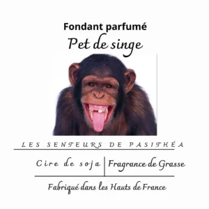 Étiquette du fondant parfumé humoristique 'Pet de singe' à la cire de soja. L'illustration est une photo d'un singe chimpanzé qui tire la langue d'un air malicieux.