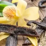 Étiquette du fondant parfumé 'Vanille' à la cire de soja. L'illustration est une photo de gousses et de fleur de vanille, évoquant un parfum gourmand, chaud et sucré