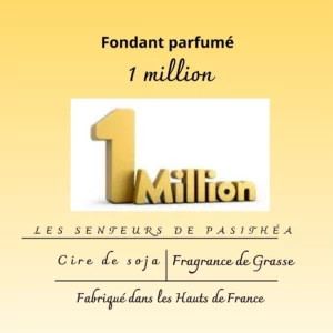 Étiquette du fondant parfumé '1 million' à la cire de soja, inspiré du célèbre parfum One Million. L'illustration est le logo du parfum, évoquant une fragrance masculine, épicée et audacieuse.