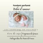 Étiquette du fondant parfumé 'Bébé d'amour' à la cire de soja. L'illustration est une photo d'un nouveau-né endormi, évoquant un parfum doux, propre et poudré.