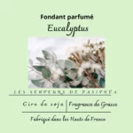 Étiquette du fondant parfumé 'Eucalyptus' à la cire de soja. L'illustration est une photo de branches d'eucalyptus, évoquant un parfum frais, puissant et purifiant.